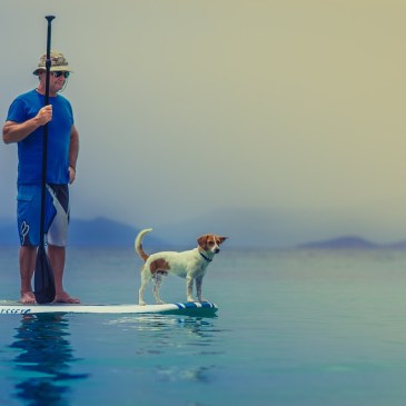 Stand Up Paddle