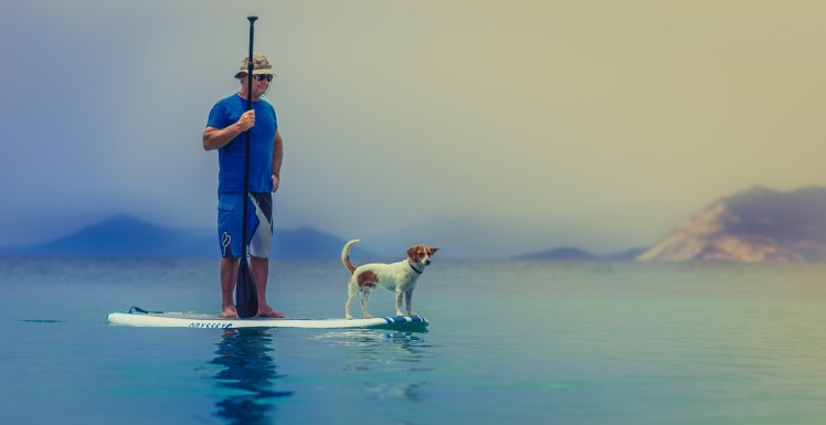 Stand Up Paddle
